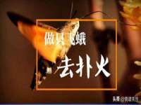 郑州晟禾生物科技有限公司