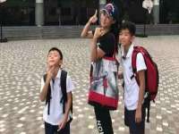 郑州晟禾生物科技有限公司