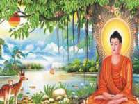 郑州晟禾生物科技有限公司