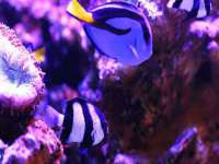 郑州晟禾生物科技有限公司