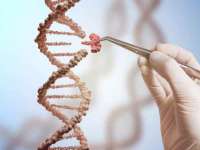 郑州晟禾生物科技有限公司