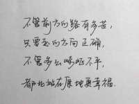 郑州晟禾生物科技有限公司