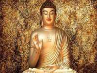 郑州晟禾生物科技有限公司