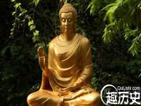 郑州晟禾生物科技有限公司