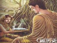 郑州晟禾生物科技有限公司