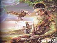 郑州晟禾生物科技有限公司