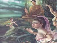 郑州晟禾生物科技有限公司